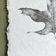 Load image into Gallery viewer, Dried Oak Leaf 1 - Original Drawing