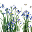 Load image into Gallery viewer, Irises for Mom - Original Painting