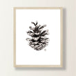 Load image into Gallery viewer, Woodland Pinecone Print