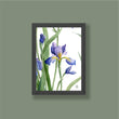 Load image into Gallery viewer, Small Iris Prints - Set of 4