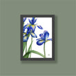 Load image into Gallery viewer, Small Iris Prints - Set of 4