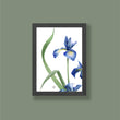 Load image into Gallery viewer, Small Iris Prints - Set of 4