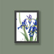 Load image into Gallery viewer, Small Iris Prints - Set of 4