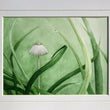 Load image into Gallery viewer, Pleated Inkcap Mushroom