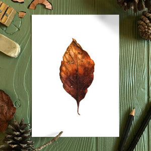 Autumn Leaf Study II Print
