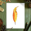 Load image into Gallery viewer, Autumn Leaf Study VI Print