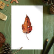 Load image into Gallery viewer, Autumn Leaf Study VII Print