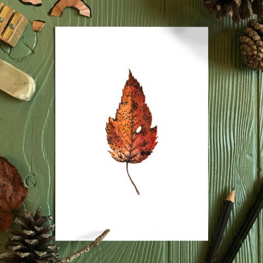 Autumn Leaf Study VII Print