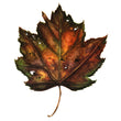 Load image into Gallery viewer, Autumn Leaf Study V Print