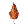 Load image into Gallery viewer, Autumn Leaf Study VII Print