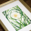 Load image into Gallery viewer, Through the Daffodil Leaves - Print