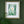 Load image into Gallery viewer, Through the Daffodil Leaves - Print
