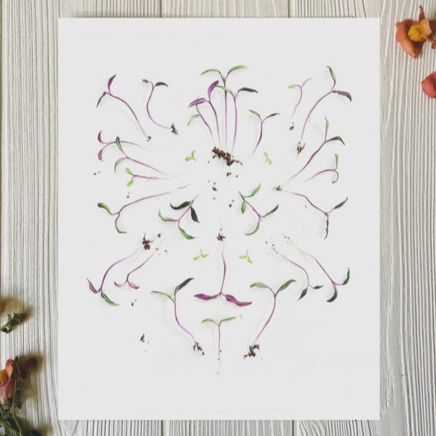 Freshly Plucked Sprouts art print on table with flowers