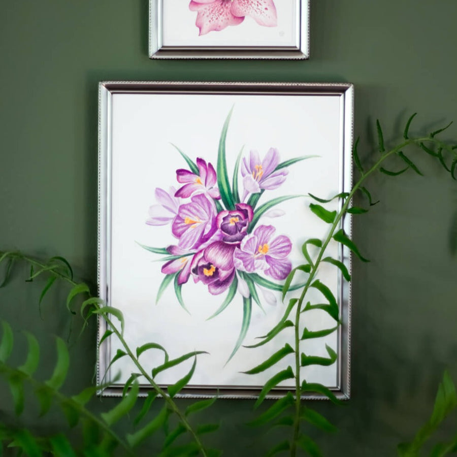 Purple Crocus Flowers - Archival Print