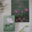 Load image into Gallery viewer, Fool's Spring: Garden Rose Print