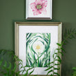 Load image into Gallery viewer, Pink Hellebore Flower Specimen - Archival Print
