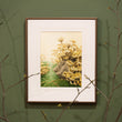 Load image into Gallery viewer, Honey Mushrooms - Original Painting