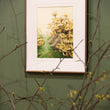 Load image into Gallery viewer, Honey Mushrooms - Original Painting