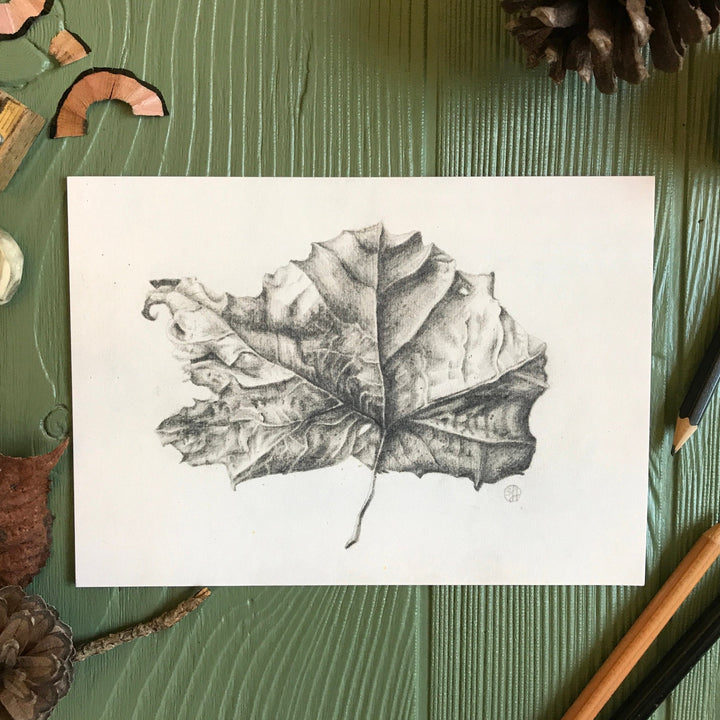 Fallen Sycamore art print on table with art supplies