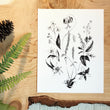 Load image into Gallery viewer, Appalachian Wildflowers art print sitting on wood background
