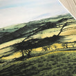 Load image into Gallery viewer, Welsh Countryside Sunrise Print close up
