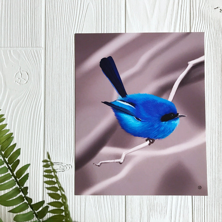 Blue Fairy Wren art print on wall