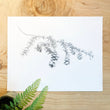 Load image into Gallery viewer, Hemlock Branch & Pinecones Print on wood background