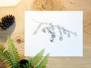 Hemlock Branch & Pinecones Print on wood background