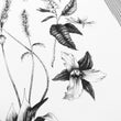 Load image into Gallery viewer, Appalachian Wildflowers closeup detail