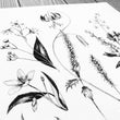 Load image into Gallery viewer, Appalachian Wildflowers closeup detail