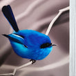 Load image into Gallery viewer, Blue Fairy Wren art print closeup