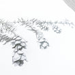 Load image into Gallery viewer, Hemlock Branch & Pinecones Print close up