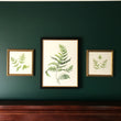Load image into Gallery viewer, Unfurling Ferns 3 | Original Painting