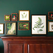 Load image into Gallery viewer, Unfurling Ferns 3 | Original Painting