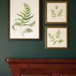 Load image into Gallery viewer, Unfurling Ferns 3 | Original Painting