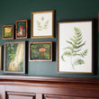 Load image into Gallery viewer, Unfurling Ferns 2 | Original Painting