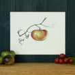 Load image into Gallery viewer, Ripening tomato art print on green background