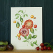 Load image into Gallery viewer, Summer Splendor tomatoes art print on green background