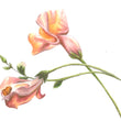 Load image into Gallery viewer, Sunlit Snapdragons & Zinnia art print close up