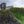 Load image into Gallery viewer, The Ruins of Dunluce Castle - Original Painting

