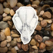 Load image into Gallery viewer, Skull Sticker - Eco-Friendly