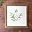 Load image into Gallery viewer, Unfurling Ferns 3 | Original Painting