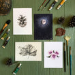 Load image into Gallery viewer, Light Of The Full Moon print in gallery with similar artworks