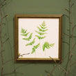 Load image into Gallery viewer, Unfurling Ferns 2 | Original Painting
