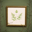 Load image into Gallery viewer, Unfurling Ferns 3 | Original Painting