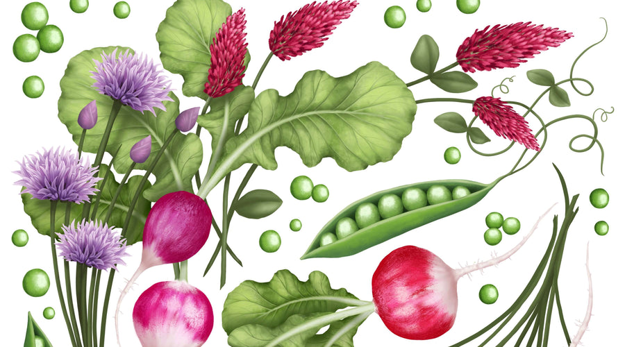 The April Collection: How a Kitchen Garden Became a Work of Art