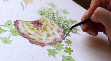 Painting A Dahlia In Watercolor | Impatient Gardener Collab