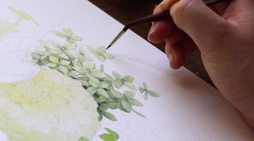 Painting A Hydrangea In Watercolor | Impatient Gardener Collab