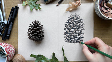 Watch How I Drew This Pinecone