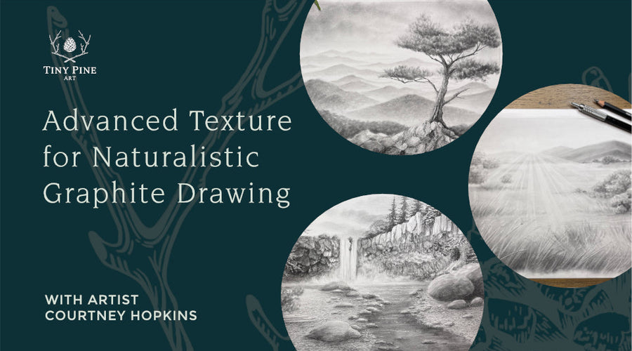 ONLINE CLASS | Advanced Texture for Naturalistic Graphite Drawing